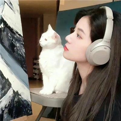 王爷你家四宝又掀翻京城了